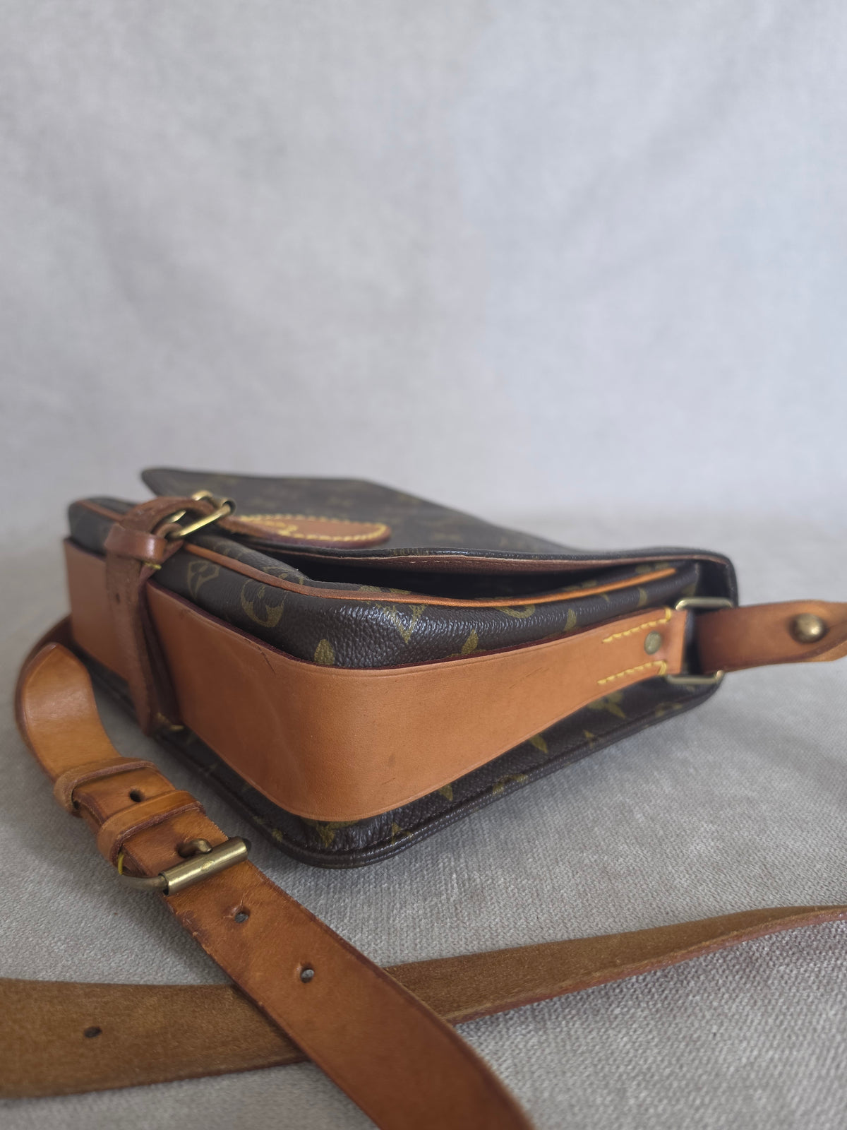 Louis Vuitton Cartouchière MM